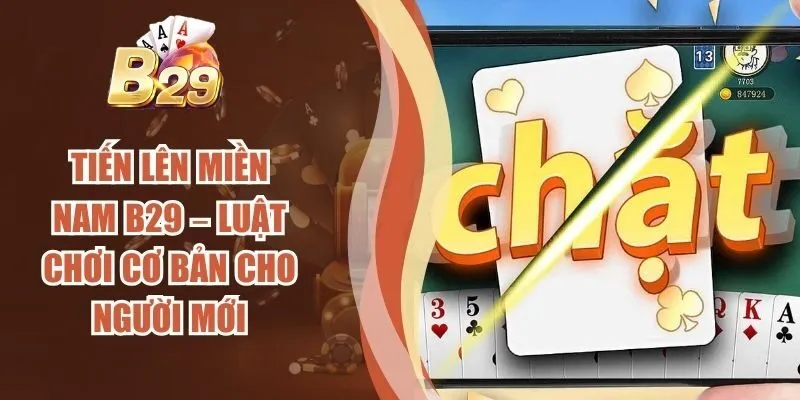 Tiến Lên Miền Nam B29 – Luật Chơi Cơ Bản Cho Người Mới